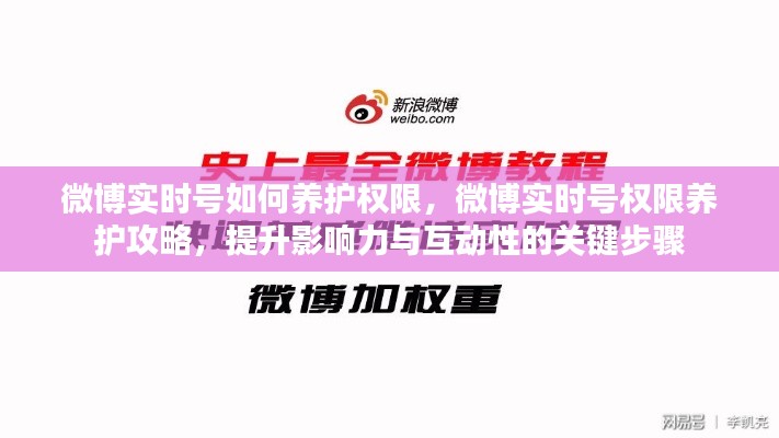 微博实时号权限养护攻略，提升影响力与互动性的关键步骤