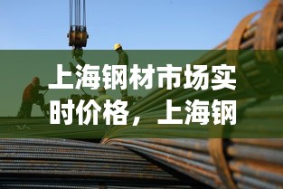 降尊纡贵 第3页
