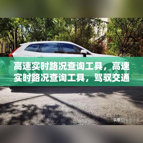 莺声燕语 第3页