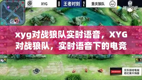 XYG与狼队实时语音对决，电竞巅峰之战