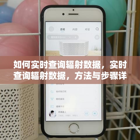 实时查询辐射数据的方法和步骤详解，操作指南与技巧分享
