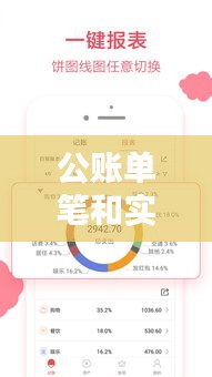 公账单笔与实时支付，重塑财务管理新模式
