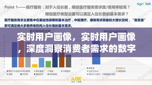 实时用户画像洞察，数字化秘籍揭秘消费者需求深度探索