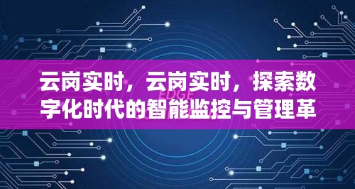 云岗实时智能监控与管理革新探索，数字化时代的革新之路