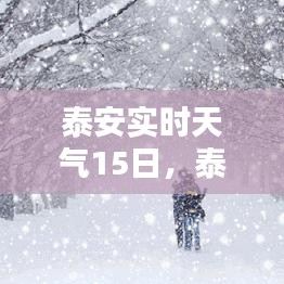 泰安实时天气状况及未来趋势分析（15日专题报道）