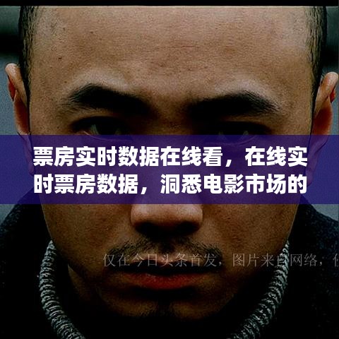 在线实时票房数据，洞悉电影市场的窗口