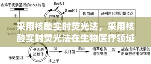 天荒地老 第3页