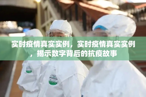 实时疫情真实实例揭示，数字背后的抗疫故事与力量