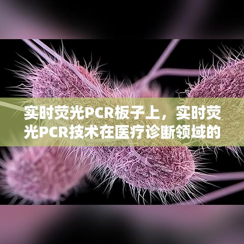 实时荧光PCR技术在医疗诊断领域的应用优势探讨，从板子到精准诊断的奥秘