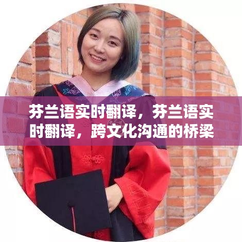 芬兰语实时翻译，跨文化沟通的桥梁与工具革新革新。