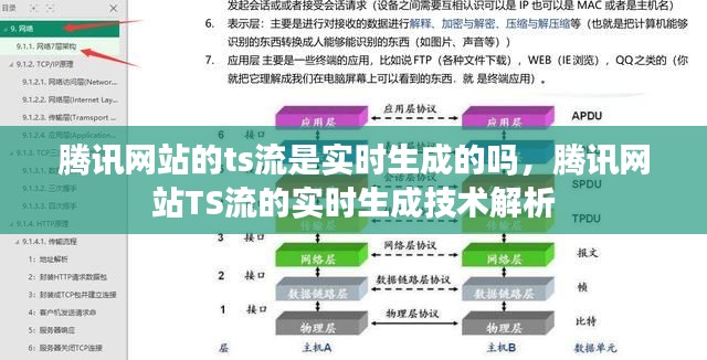 望其项背 第3页