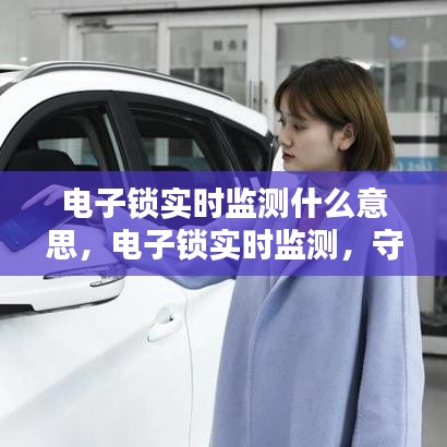 电子锁实时监测，保障安全与便捷的开锁体验