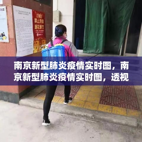 南京新型肺炎疫情实时图解析，数据背后的防控进展与挑战透视