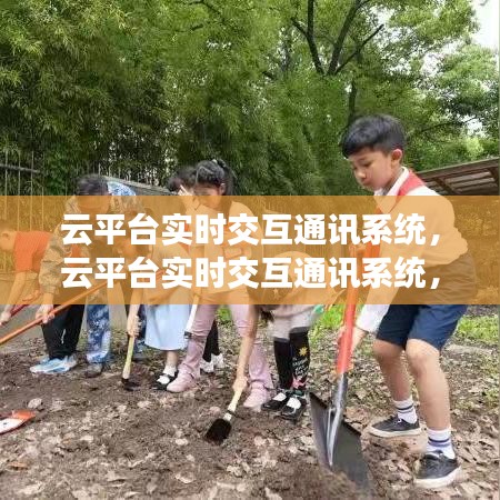 云平台实时交互通讯系统，重塑企业协作与沟通的未来模式