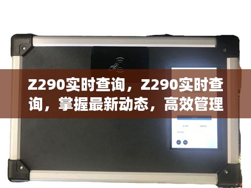 Z290实时查询，掌握最新动态，引领高效管理与便捷体验的时代先锋