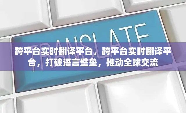 跨平台实时翻译平台，打破语言壁垒，促进全球交流