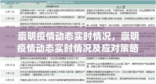 崇明疫情实时动态与应对策略分析