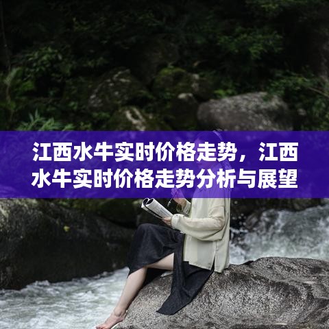 江西水牛实时价格走势分析与展望，价格走势、分析及展望