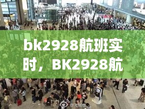BK2928航班实时动态解析与感受分享