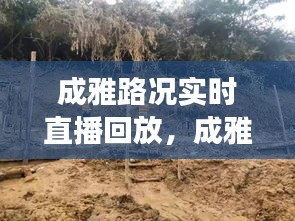 成雅高速路况实时直播回放，洞悉交通动态，保障安全出行