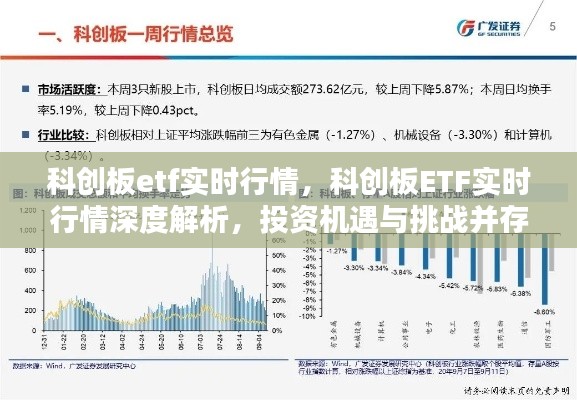莺啼鸟啭 第3页
