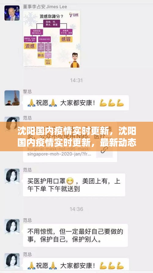 沈阳疫情最新动态，实时更新与防控措施