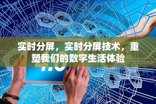 窗明几净 第5页