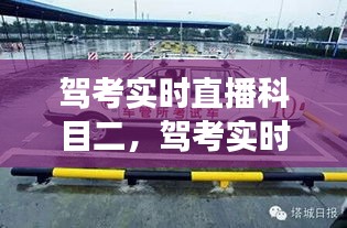 驾考科目二实时直播，体验、挑战与未来展望全解析