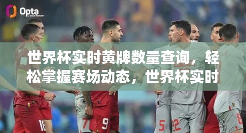 世界杯实时黄牌数量全解析，赛场动态轻松掌握