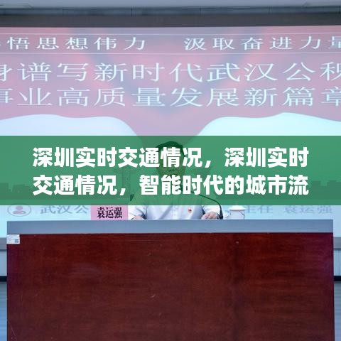 粗制滥造 第3页