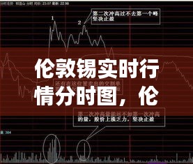 伦敦锡实时行情分时图，市场走势分析与预测