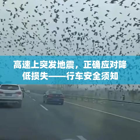 高速上突发地震，正确应对降低损失——行车安全须知