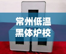 常州低温黑体炉校准规范揭秘，专业标准，保障质量