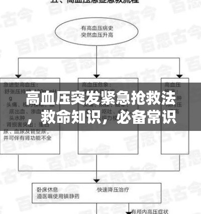 高血压突发紧急抢救法，救命知识，必备常识！