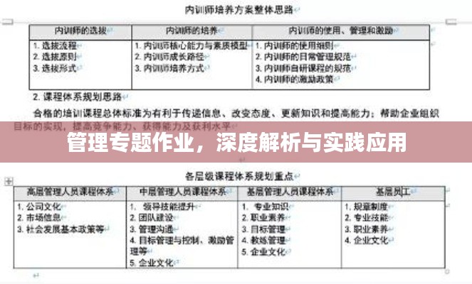 管理专题作业，深度解析与实践应用