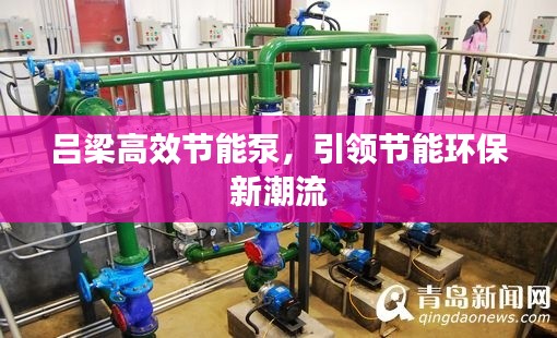 吕梁高效节能泵，引领节能环保新潮流