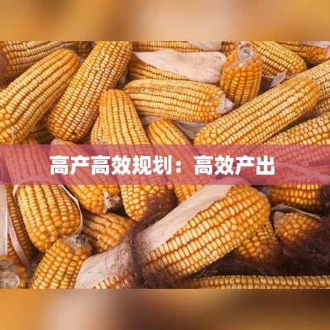 高产高效规划：高效产出 