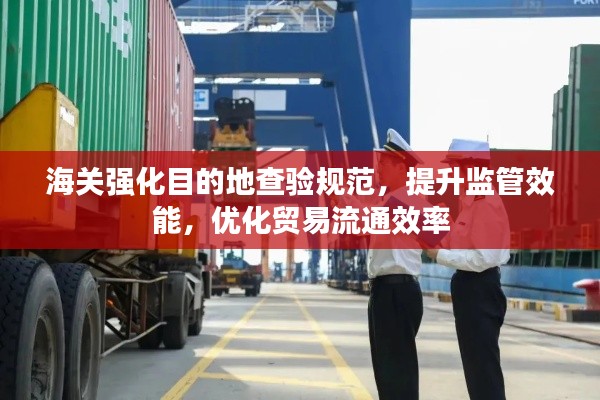 海关强化目的地查验规范，提升监管效能，优化贸易流通效率