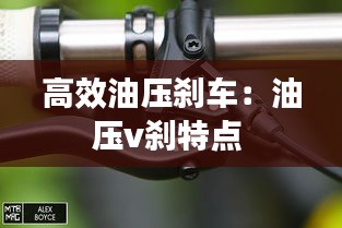 貌美如花 第3页