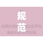 规范期刊内容的审核：论文规范审查 