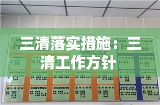 三清落实措施：三清工作方针 