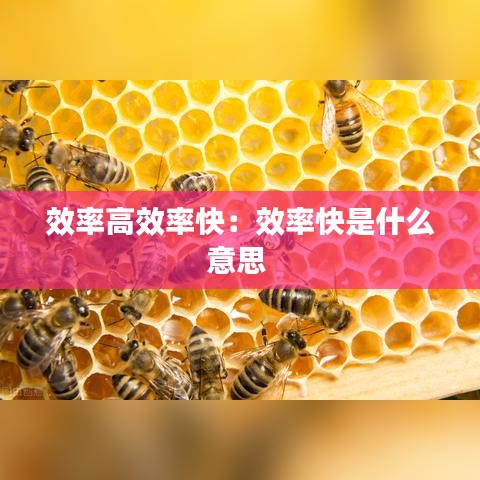 效率高效率快：效率快是什么意思 