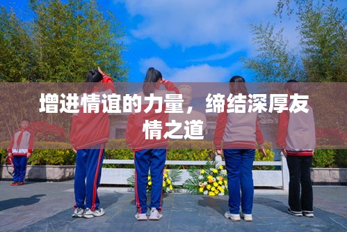 增进情谊的力量，缔结深厚友情之道