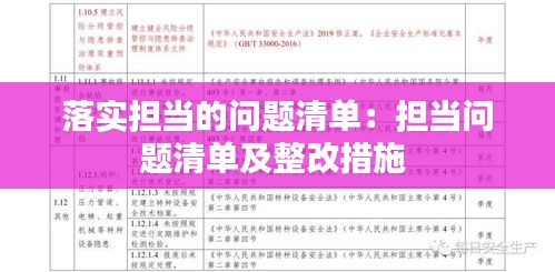 落实担当的问题清单：担当问题清单及整改措施 