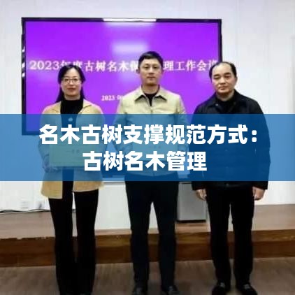 名木古树支撑规范方式：古树名木管理 