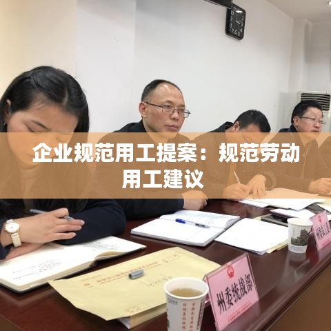 企业规范用工提案：规范劳动用工建议 