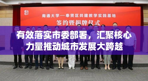有效落实市委部署，汇聚核心力量推动城市发展大跨越
