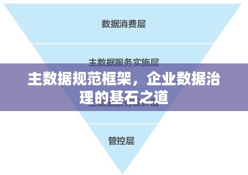 主数据规范框架，企业数据治理的基石之道