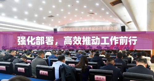 强化部署，高效推动工作前行