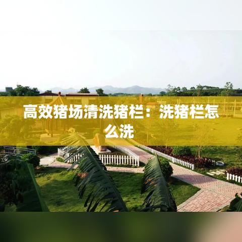 高效猪场清洗猪栏：洗猪栏怎么洗 